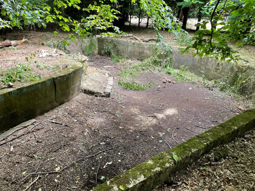 Lot: 109 - THREE ACRE FORMER NATURIST SITE WITH POTENTIAL -